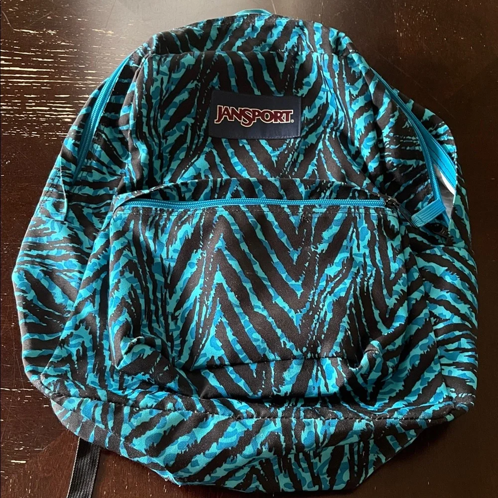 Unisex JanSport light weight Teal and Black Striped Backpack - Picture 1 of 10